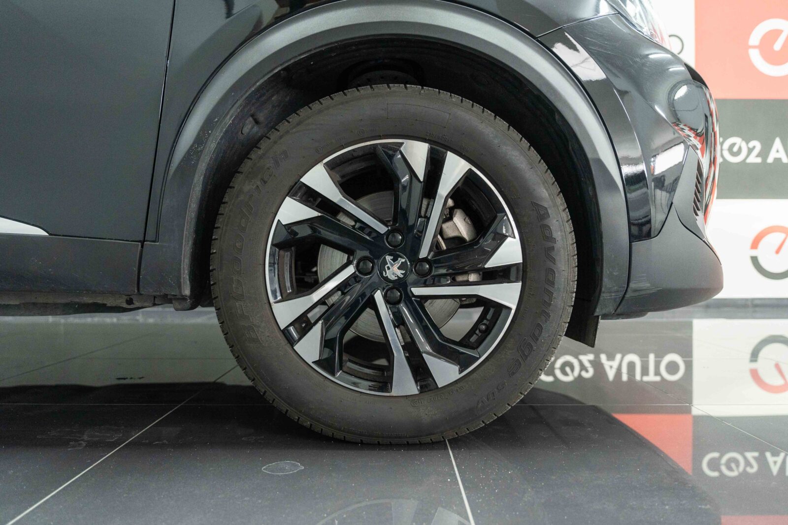 peogeut-2008-preto-carros-co2-pataias-stand-4